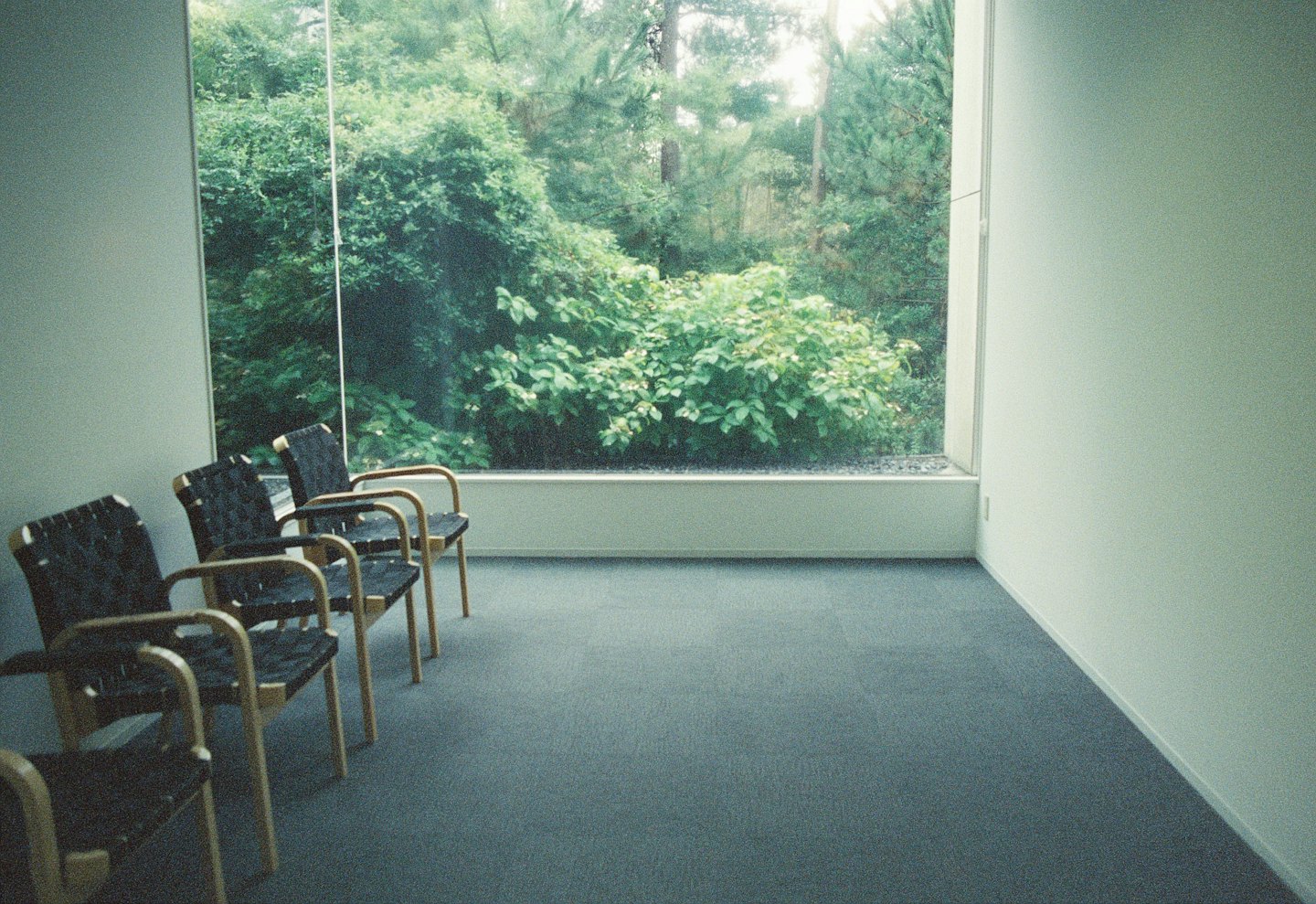 Moderne Holzstühle blicken auf ein Fenster mit Blick auf grüne Büsche.